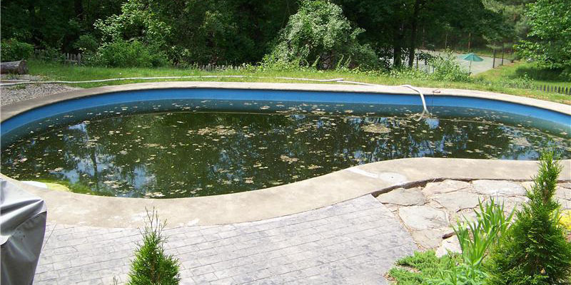 pool in need of cleaning and service